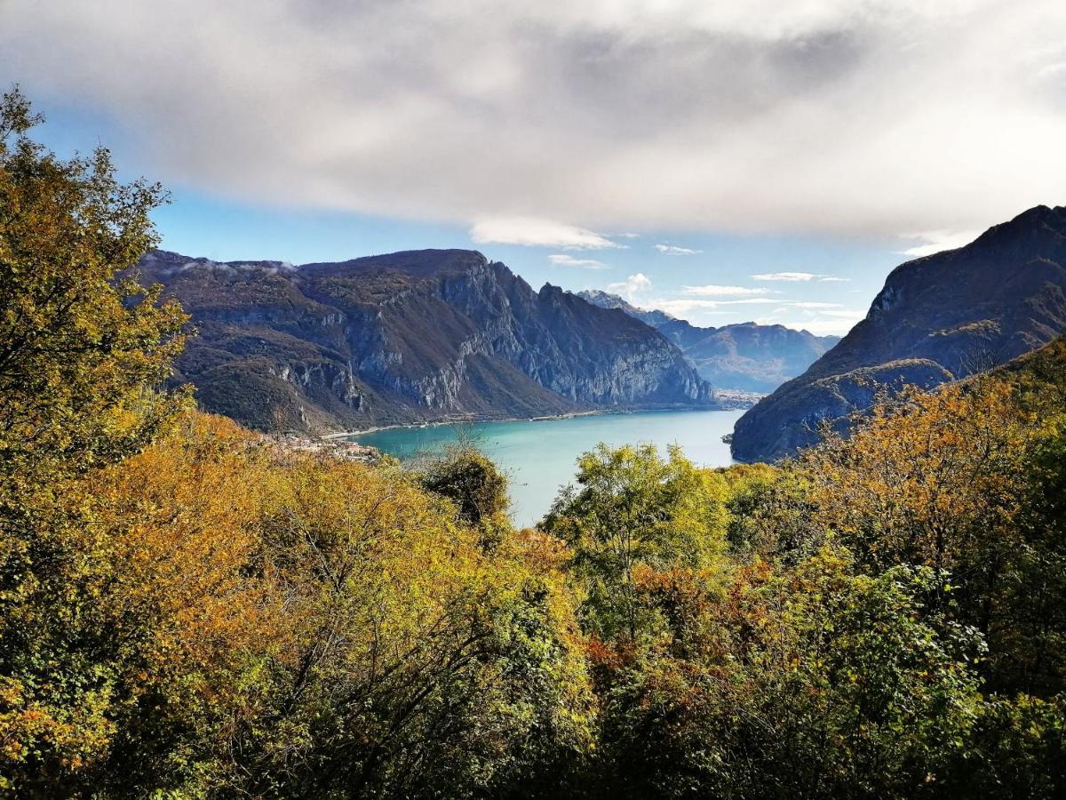 Narciso B&B Valbrona Dış mekan fotoğraf