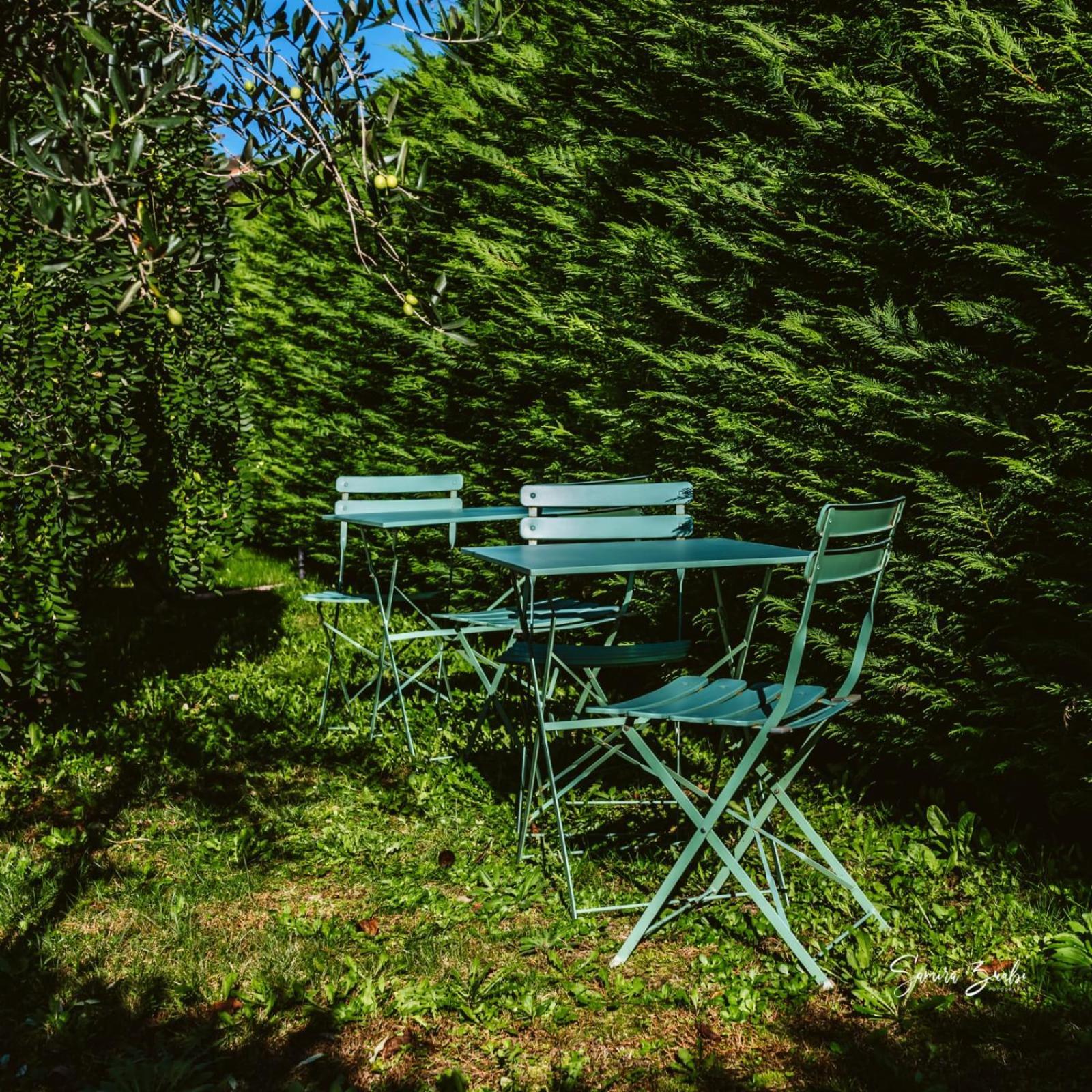 Narciso B&B Valbrona Dış mekan fotoğraf